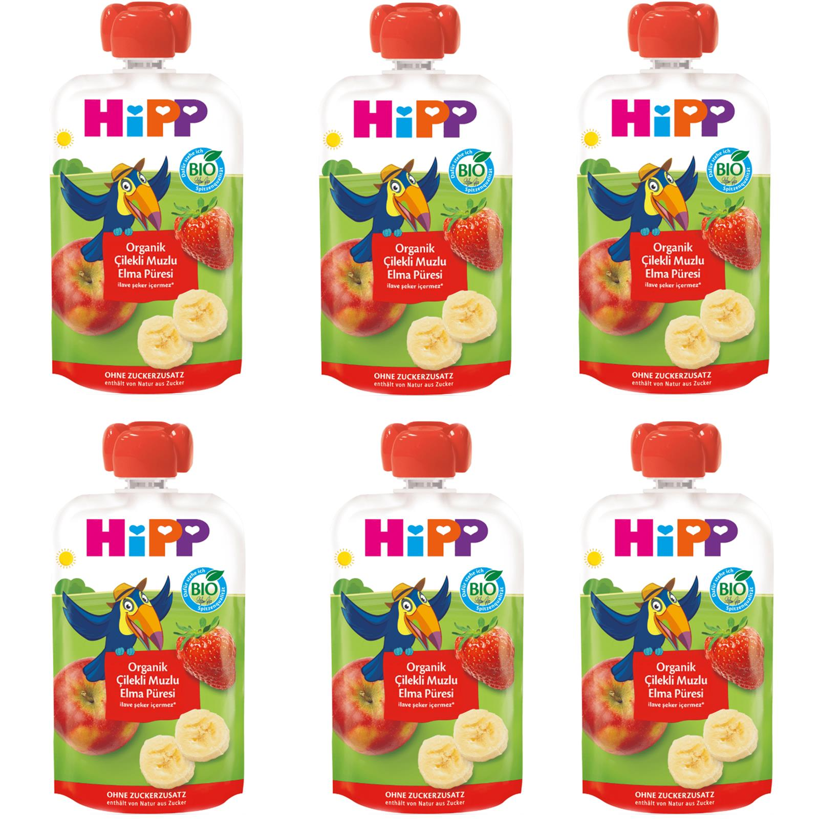 Hipp Organik Çilekli Muzlu Elmalı Meyve Püresi 100 gr 6 ADET