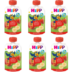 Hipp Organik Çilekli Muzlu Elmalı Meyve Püresi 100 gr 6 ADET