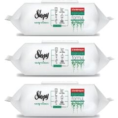 Sleepy Easy Clean 100 lü Yüzey Temizlik Havlusu 3 ADET