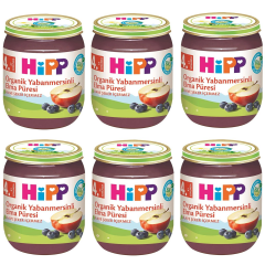 Hipp Kavanoz Maması Organik Yabanmersinli Elma Püresi 125 gr 6 ADET