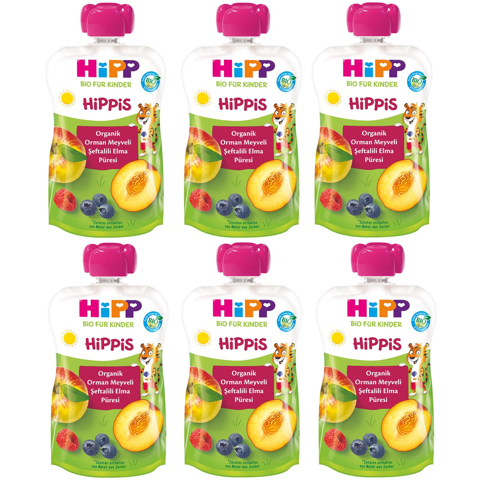 Hipp Organik Orman Meyveli Şeftalili Elma Püresi 100 gr 6 ADET